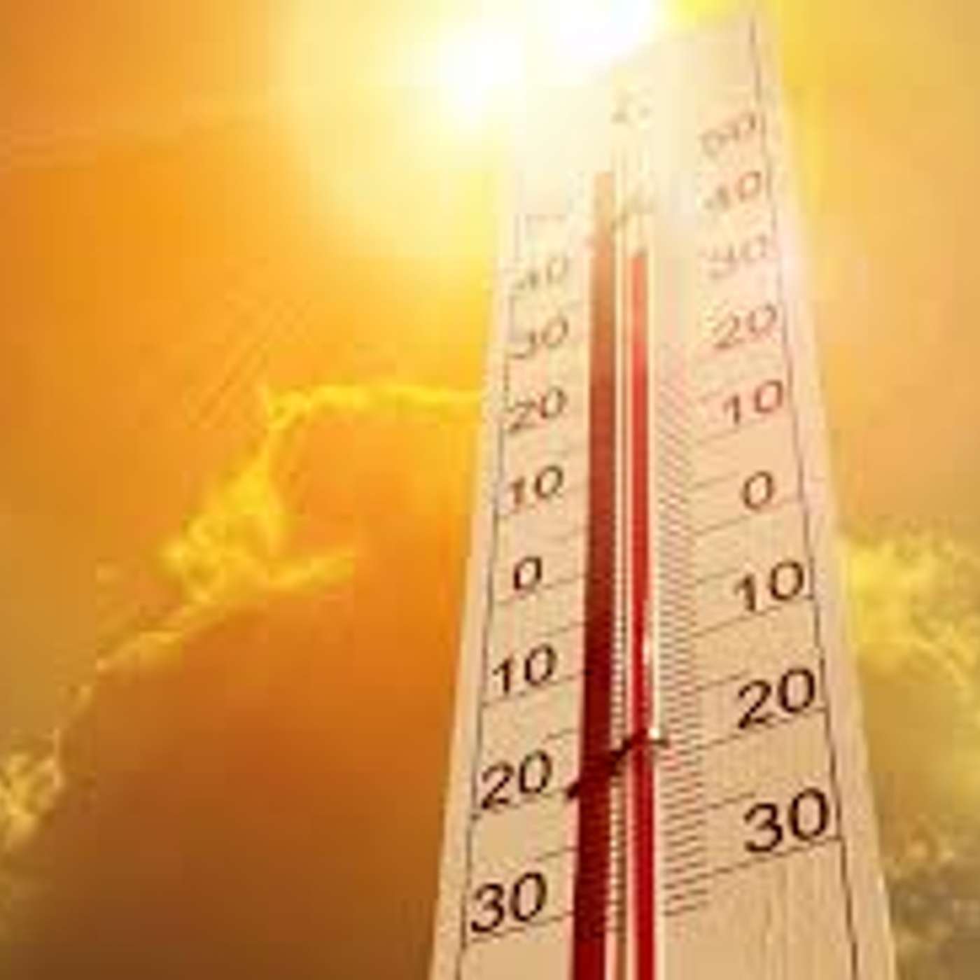 #305: Get On Your Bi Quest, King!