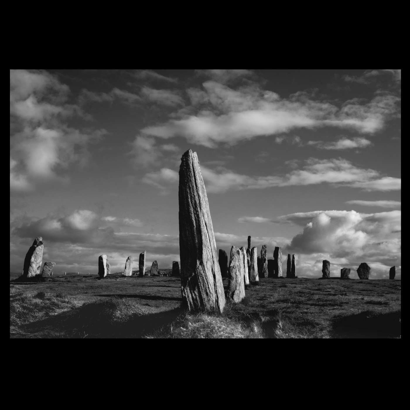 The Ten Thousand Things