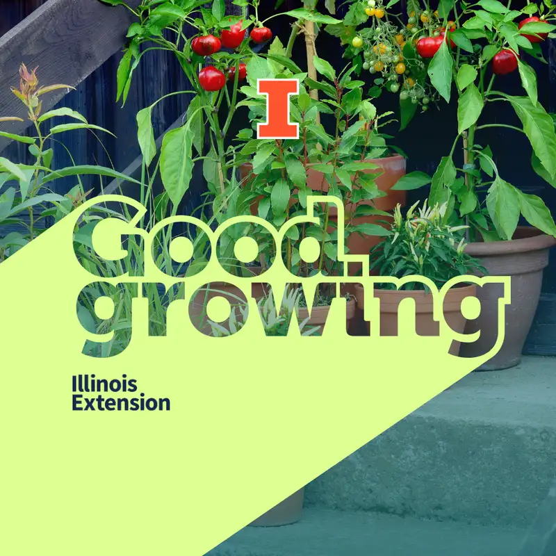 Ep. 209 Vegetable gardening in small spaces | #GoodGrowing