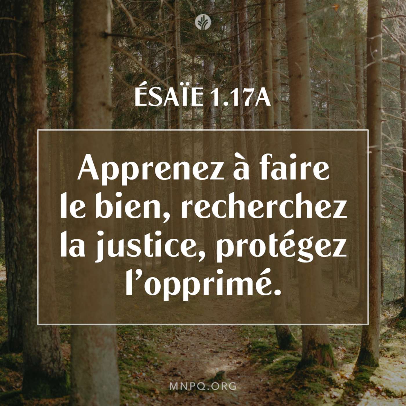 Marcher comme Jésus episode artwork