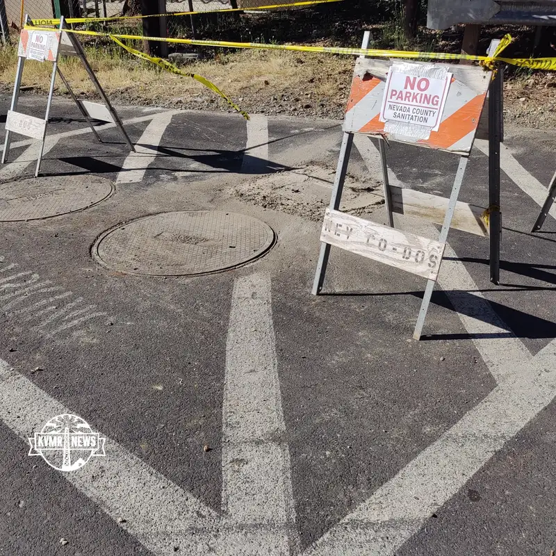 Blackouts And Sewage Spills, Kitties, Puppies, And Pink Ponies