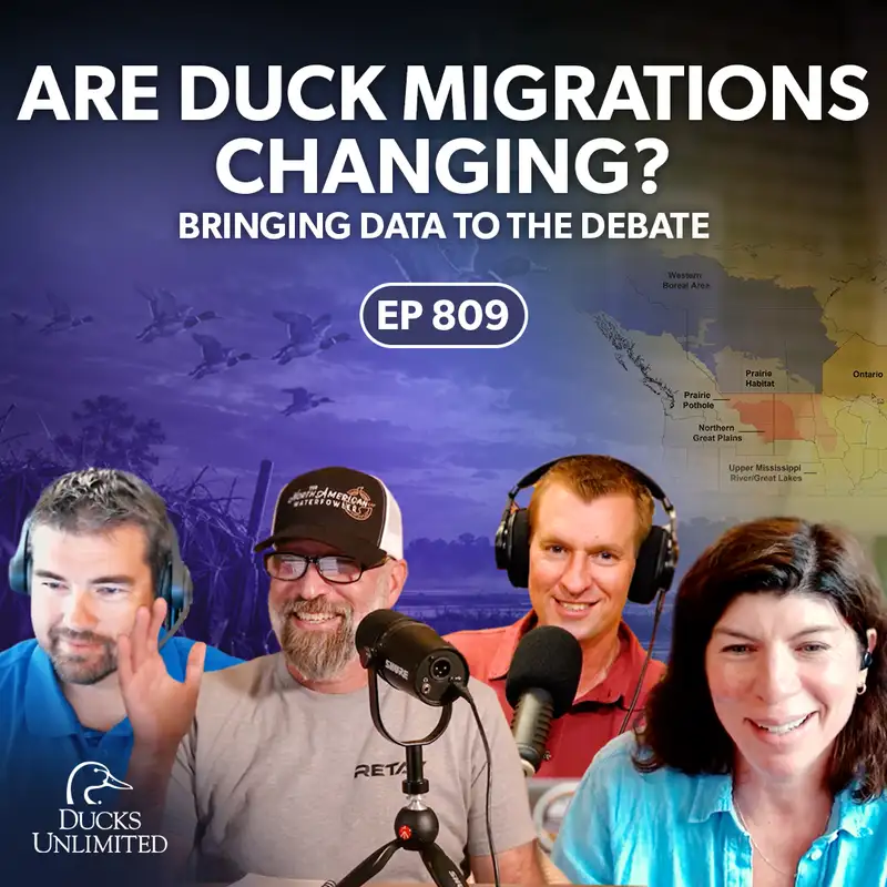 Are Duck Migrations Changing? Bringing Data to the Debate (Ep 809)