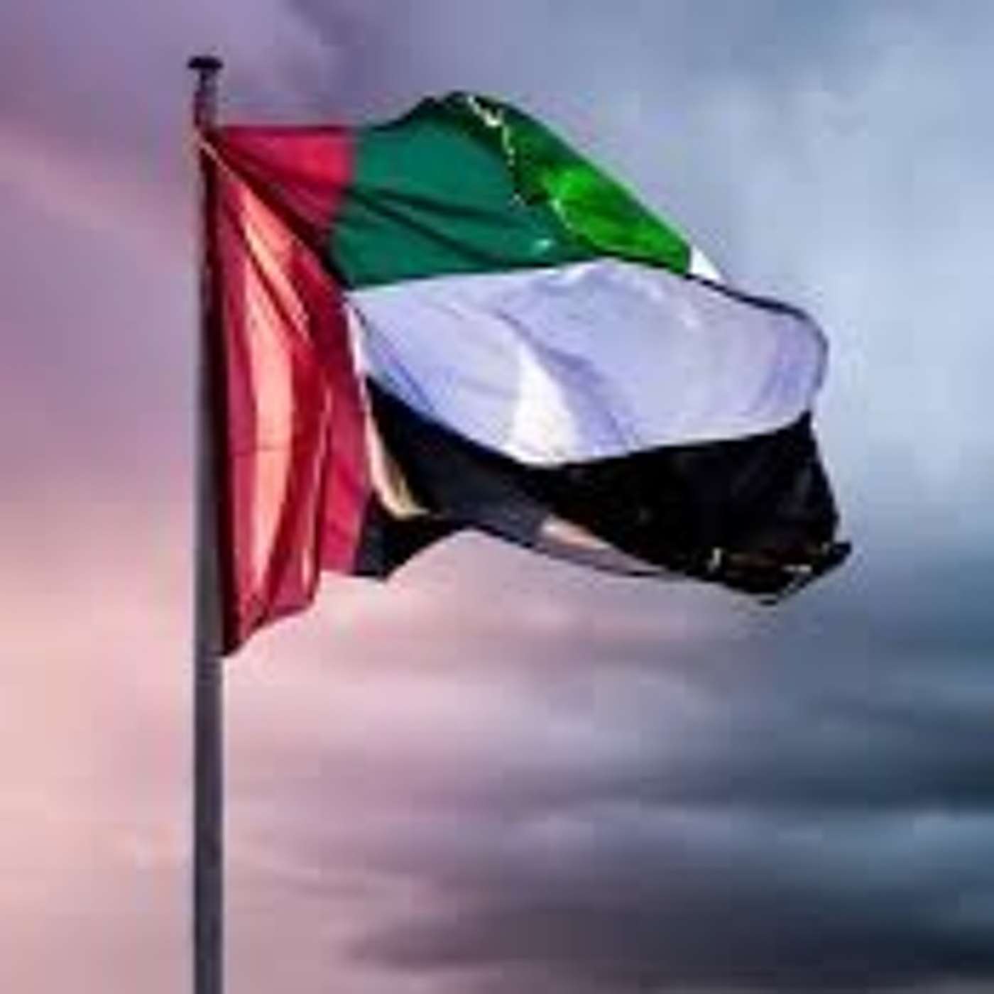 Expat Pharmaceutical Professional Shares Favorite Moments in the UAE (3.12.20)