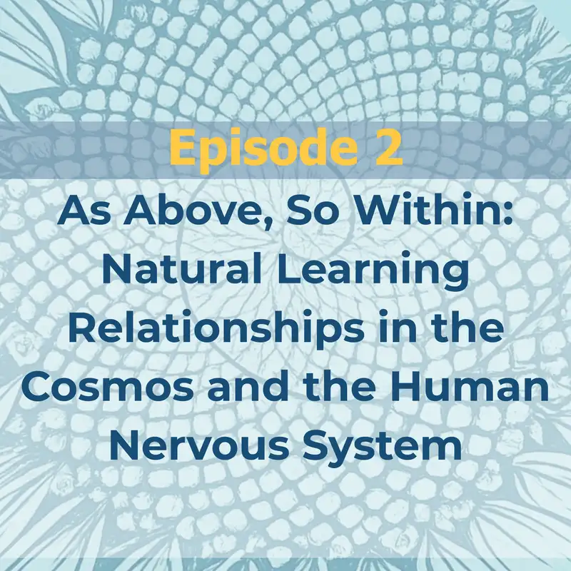 As Above, So Within: Natural Learning Relationships in the Cosmos and the Human Nervous System