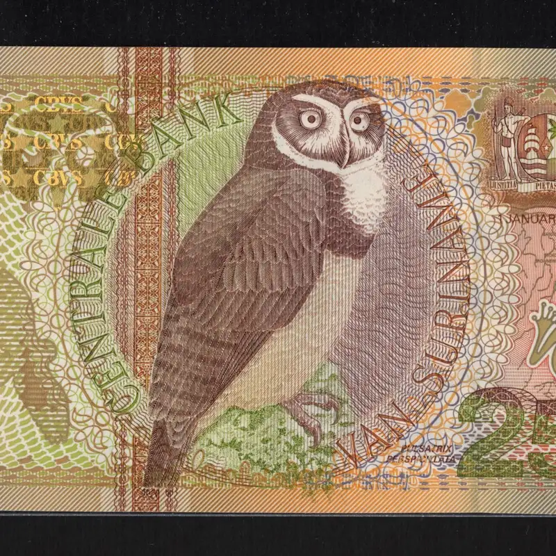 Ep.47 - Exploring World Banknotes with Eric Malek #numismatics #worldcurrencies #banknotes #coins