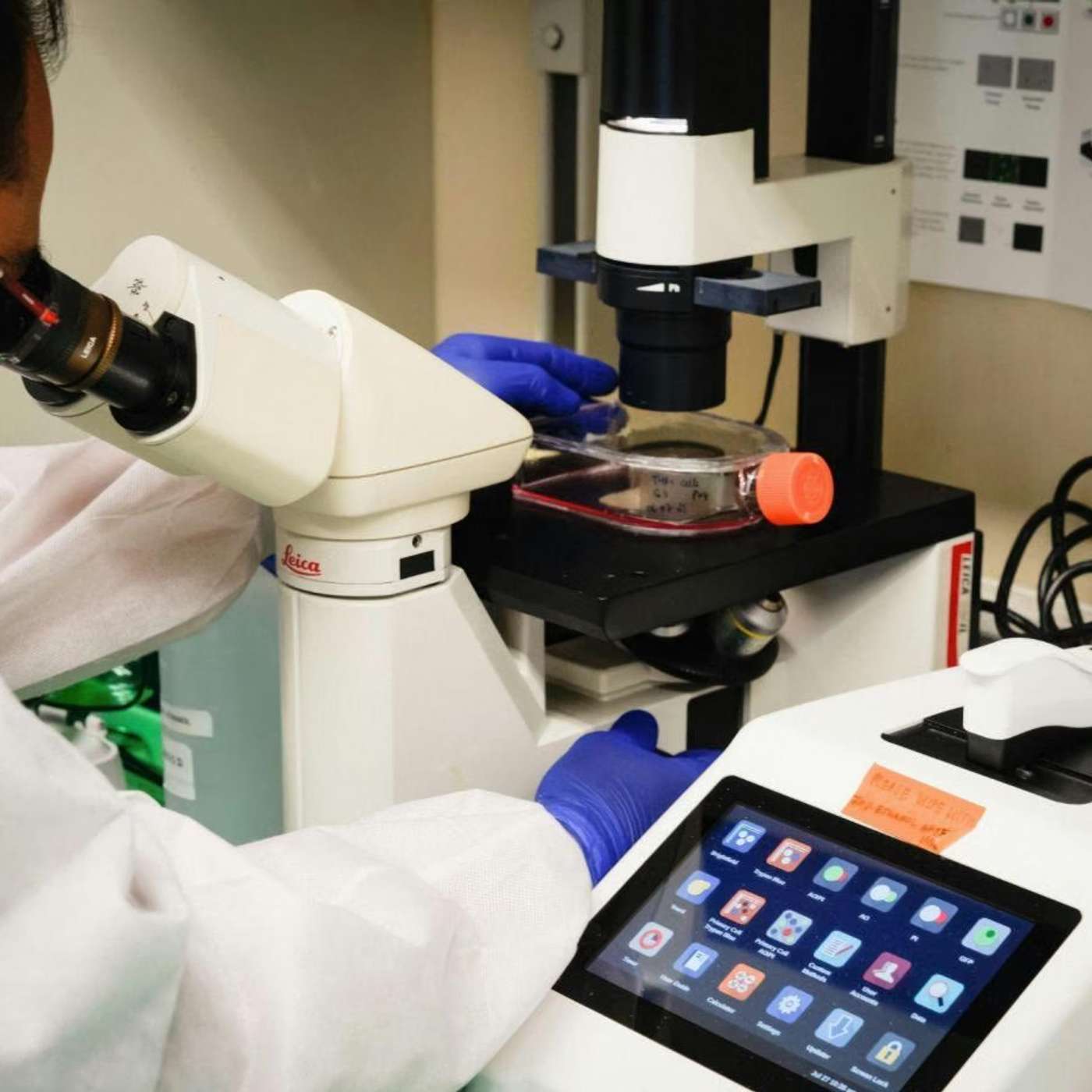 Biodegradable Breakthrough P Life, Antibody Boosts Fat Loss Preserves Muscle, Radio Boosts Australia Music Economy, AI Maps Magnetic Maze to Save Energy, and more...