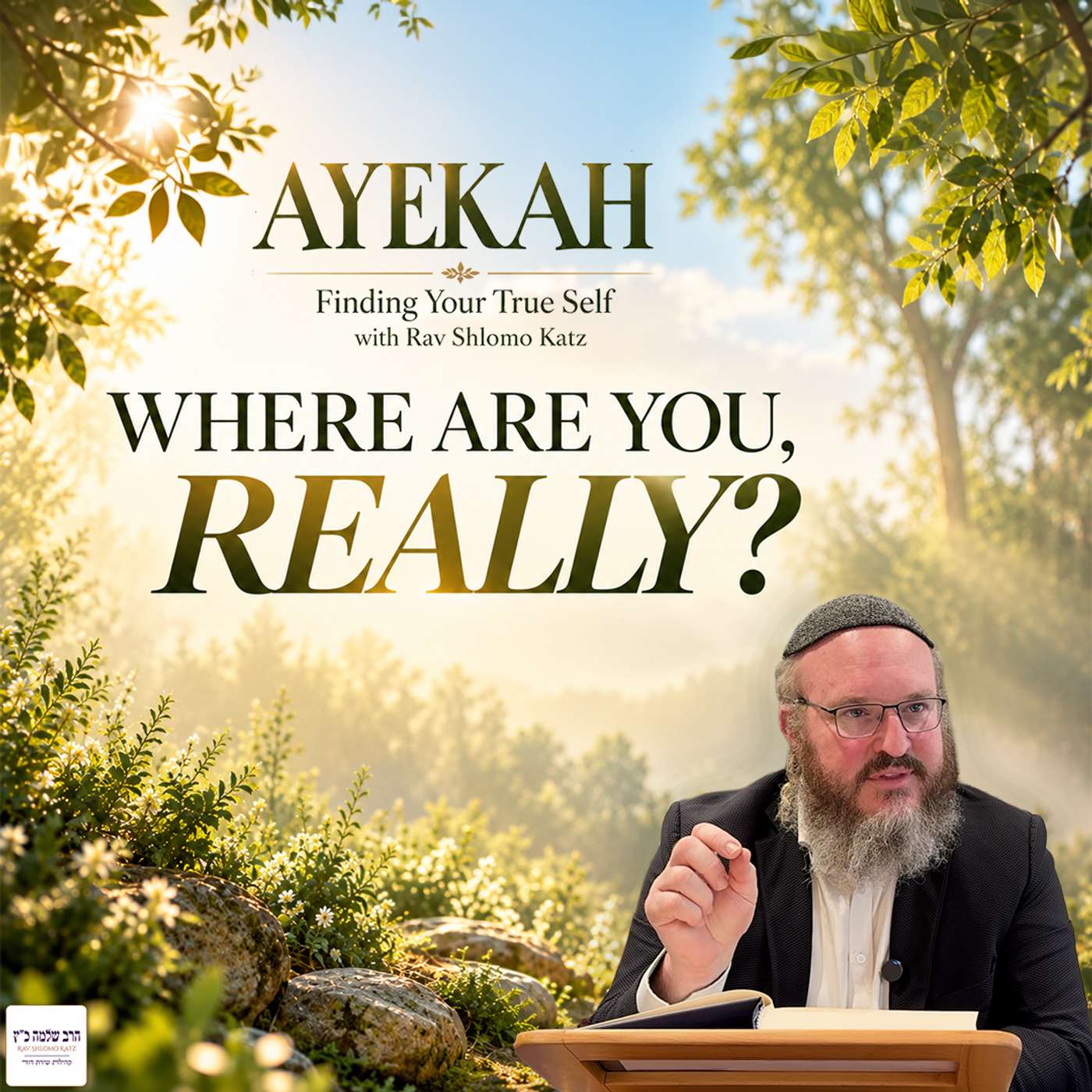 The Question That Brings You Back to Yourself The Question That Brings You Back to Yourself