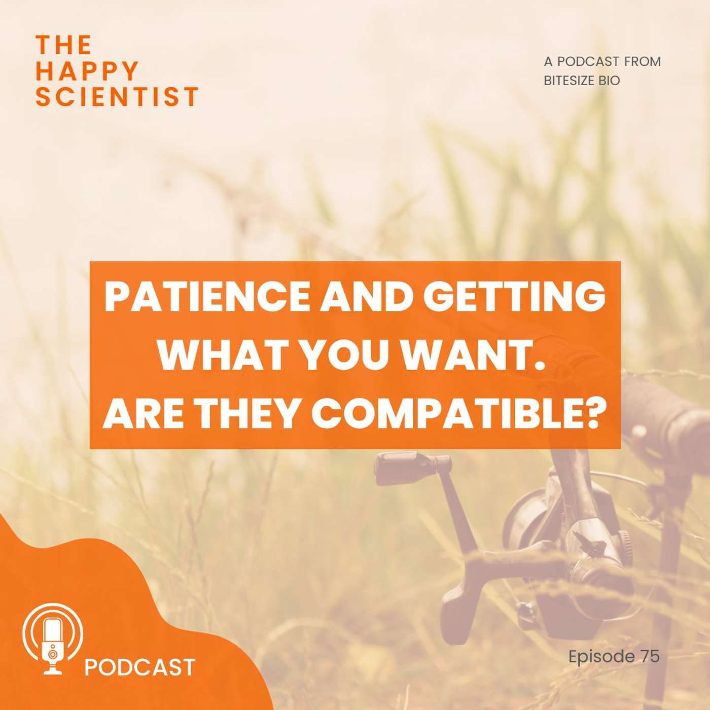 Patience and Getting What You Want. Are They Compatible? Patience and Getting What You Want. Are They Compatible?