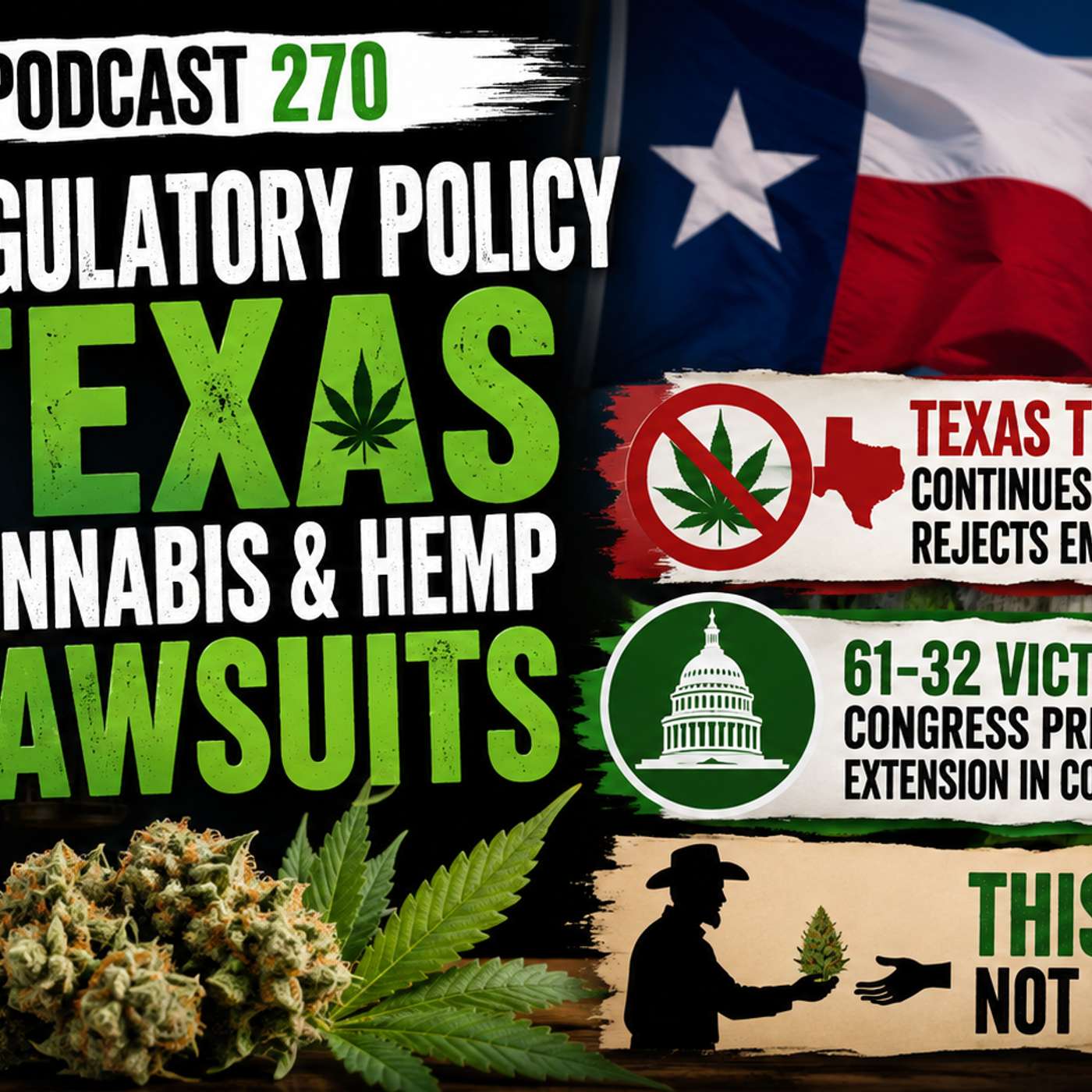 Texas Cannabis Lawsuits & Regulatory News episode artwork