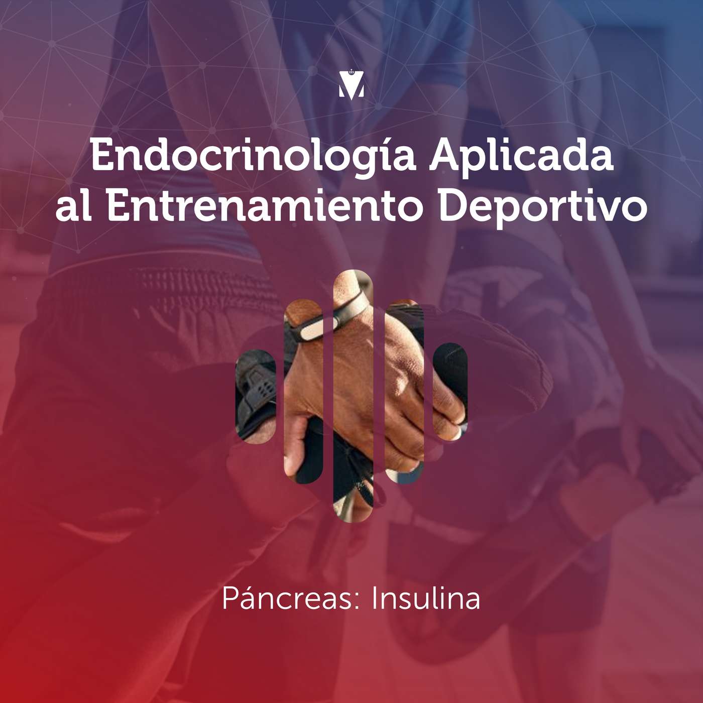 9 - ENDOCRINOLOGÍA APLICADA AL ENTRENAMIENTO DEPORTIVO: Páncreas - Insulina episode artwork
