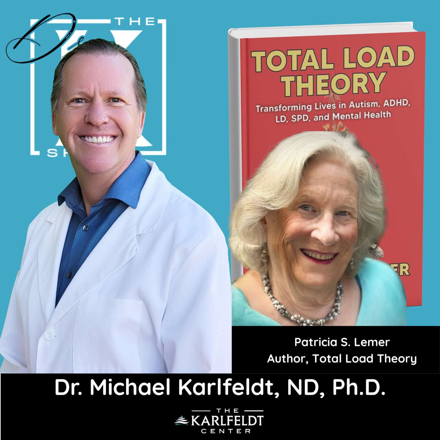 Total Load Theory and Autism Recovery with Patricia Lemer episode artwork