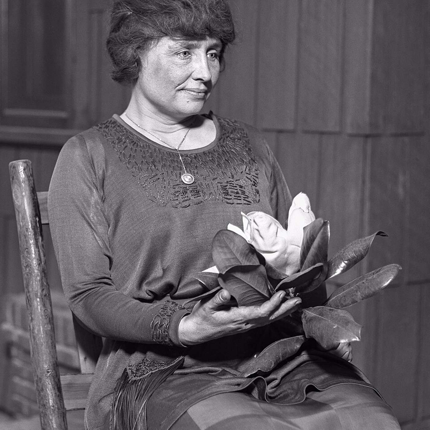 Helen Keller’s Gall Bladder episode artwork