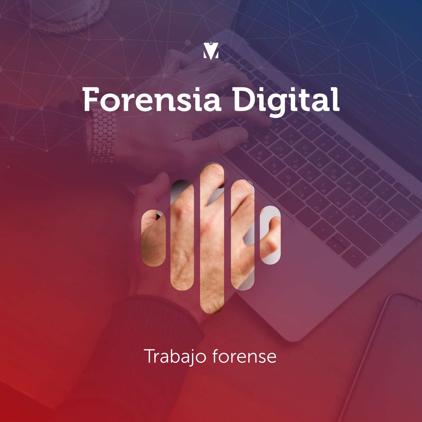 5 - FORENSIA DIGITAL: Trabajo forense