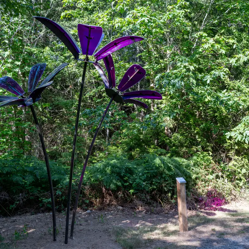 Forest Flowers is the City of Nanaimo’s first piece of Temporary Public Art for 2026