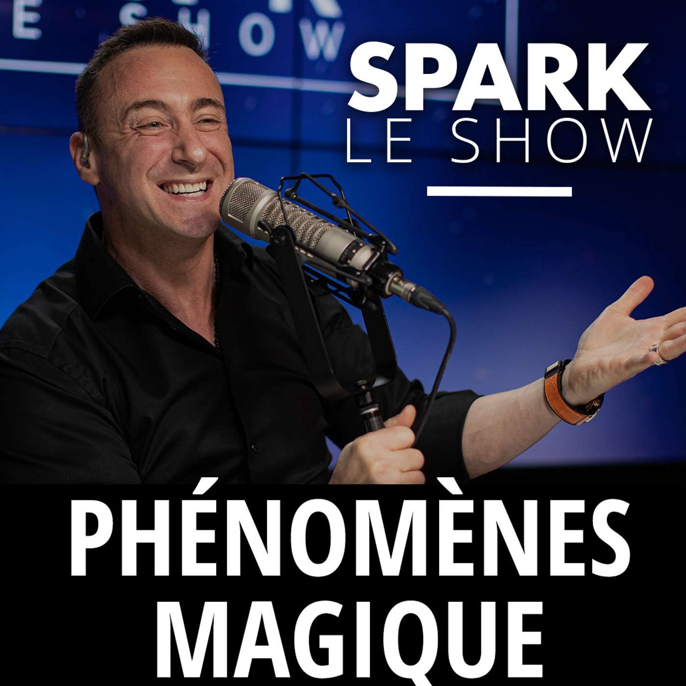 SPARK LE SHOW : Les 8 phénomènes magiques de la réussite episode artwork