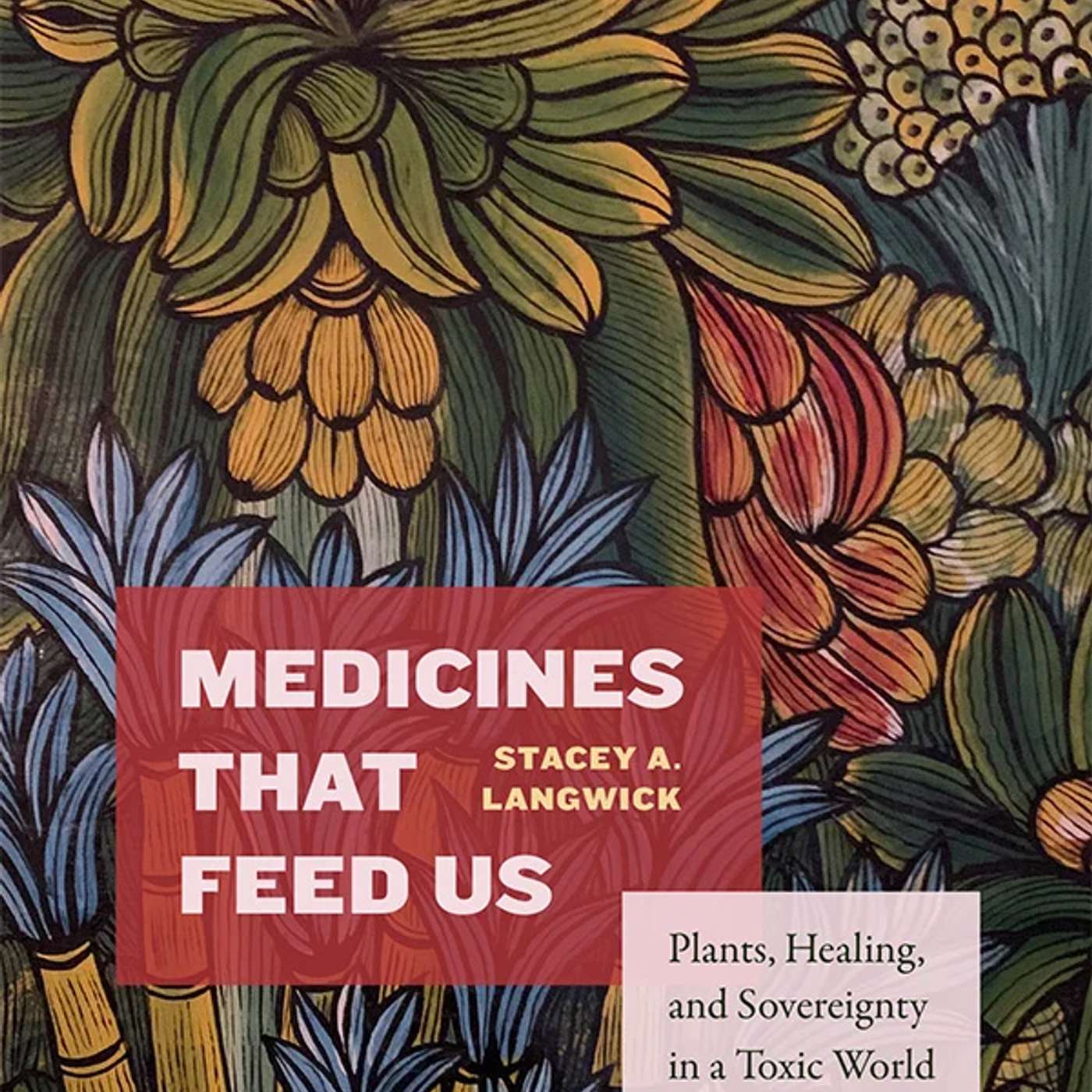 Stacey A. Langwick on Medicines That Feed Us: Plants, Healing, and Sovereignty in a Toxic World