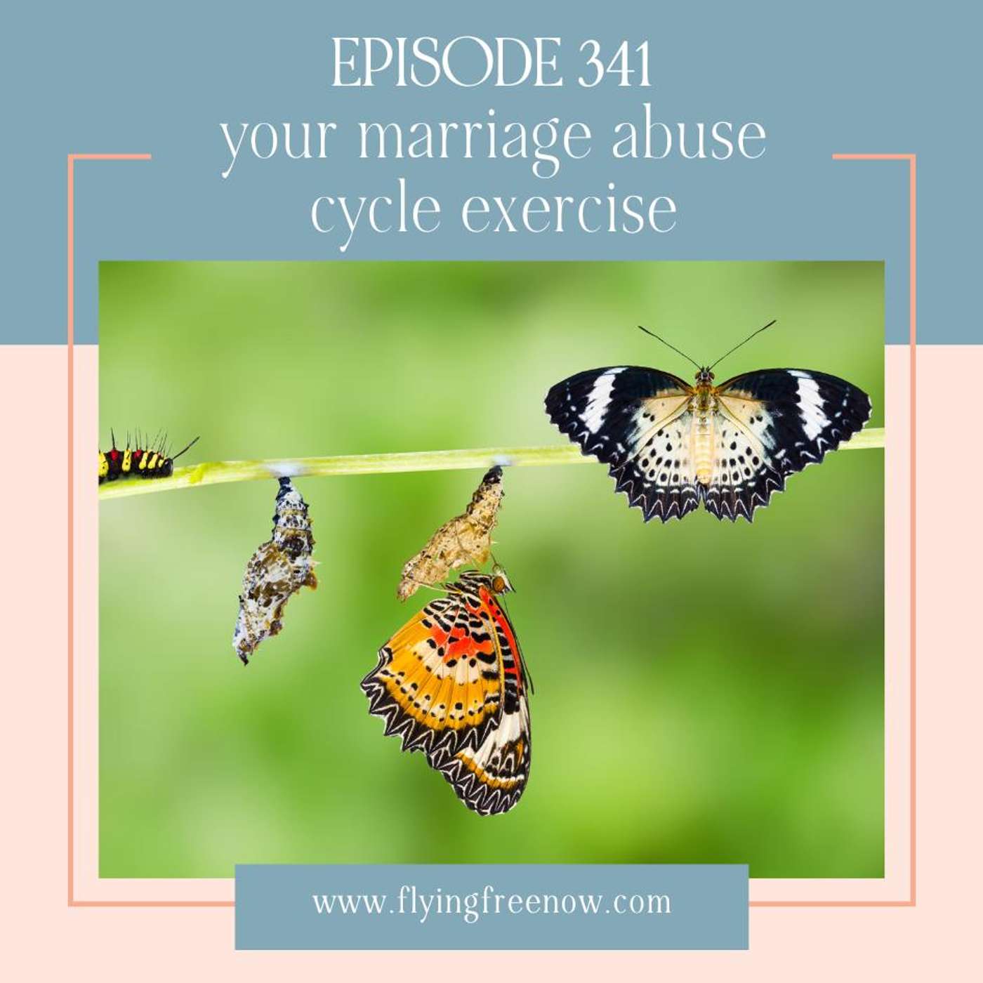 Your Marriage Abuse Cycle Exercise [341]