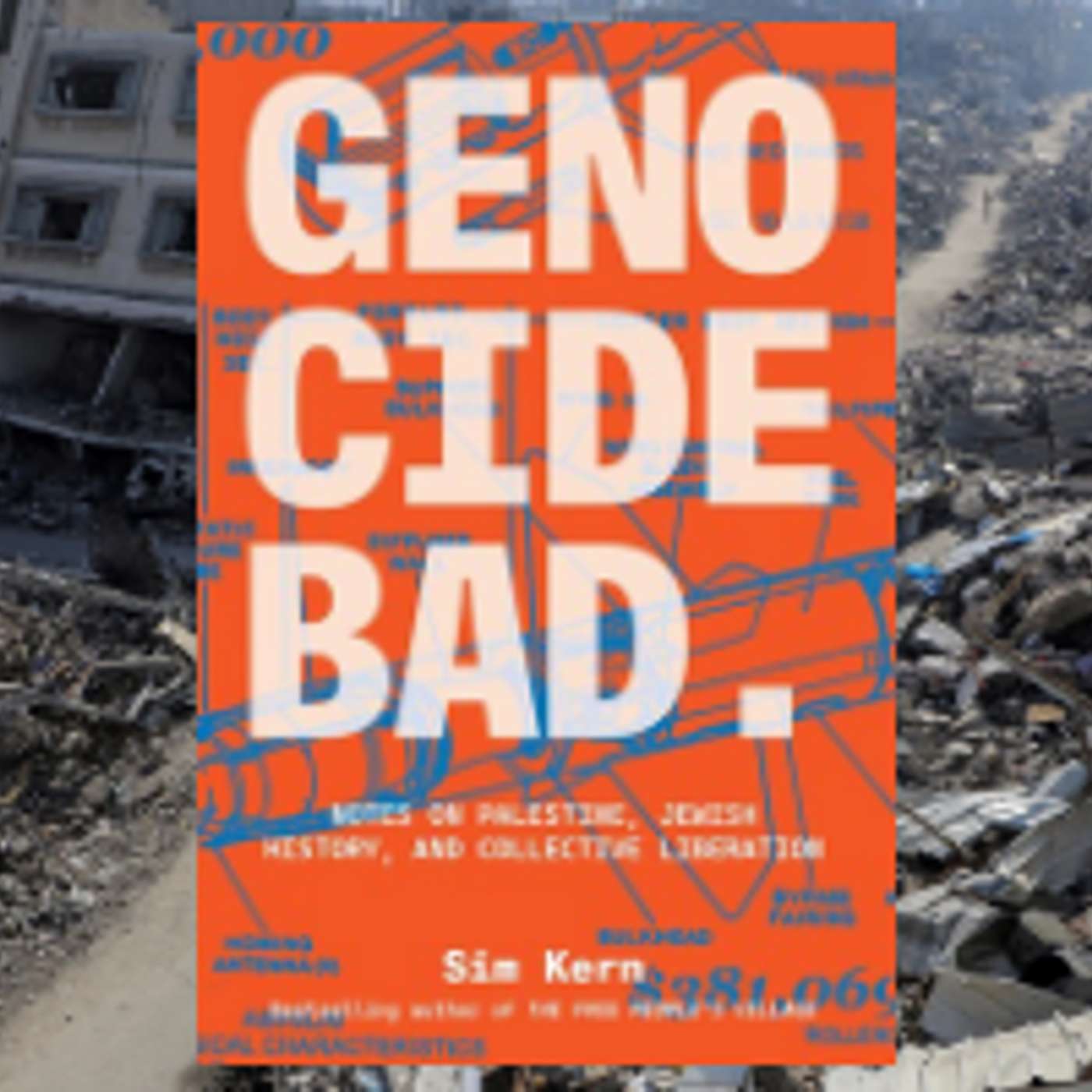 New Book Examines Gaza Genocide & Palestine, Israel History