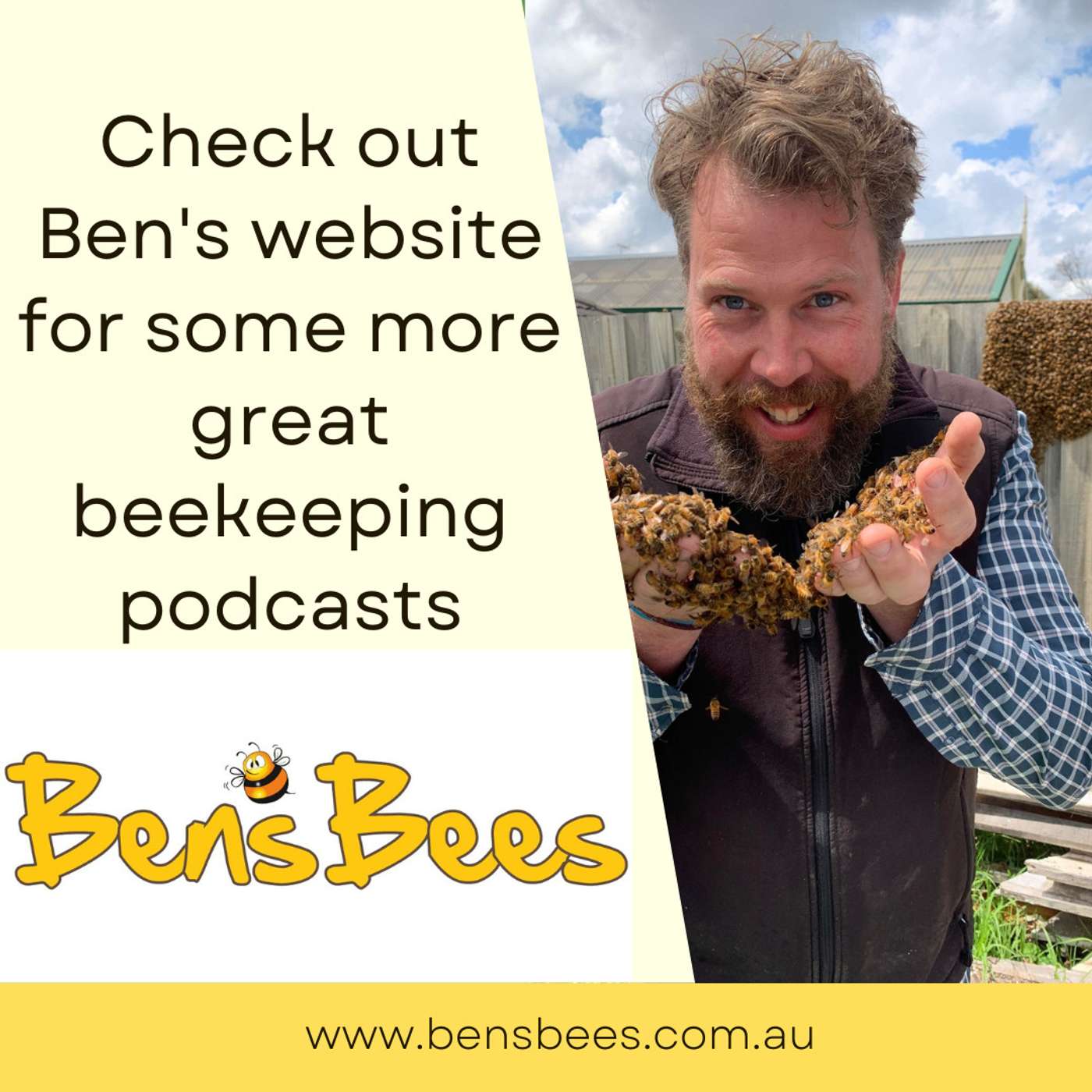 12) Bees with Ben episode artwork