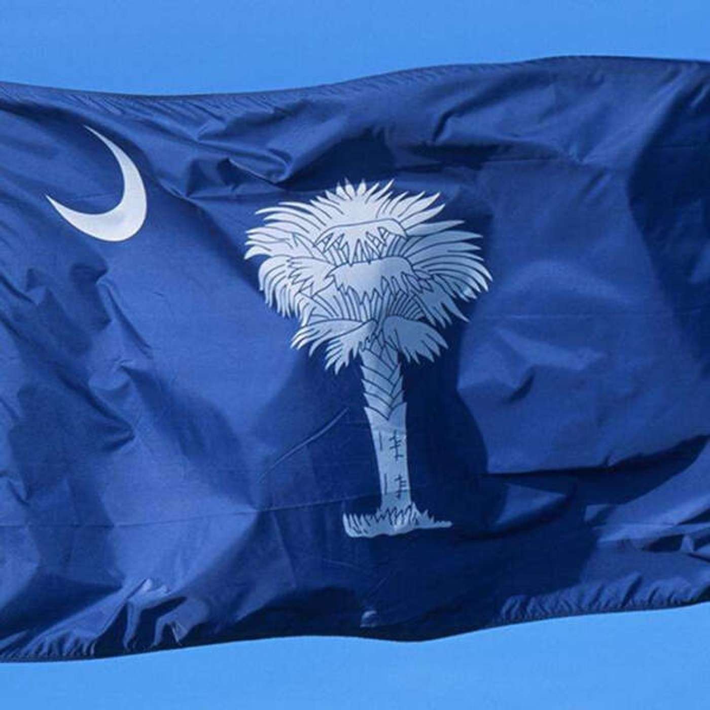Os Estados Unidos da América apresentam: Fun Facts of South Carolina! episode artwork