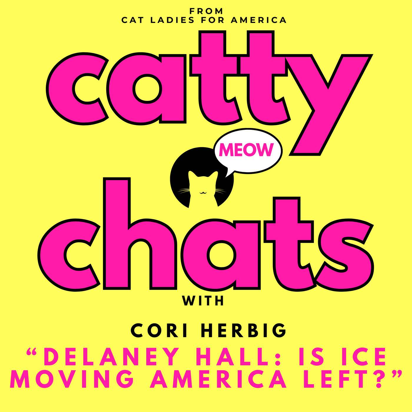 DELANEY HALL: IS ICE MOVING AMERICANS LEFT? episode artwork