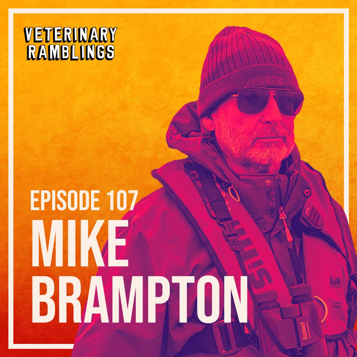 Veterinary Ramblings