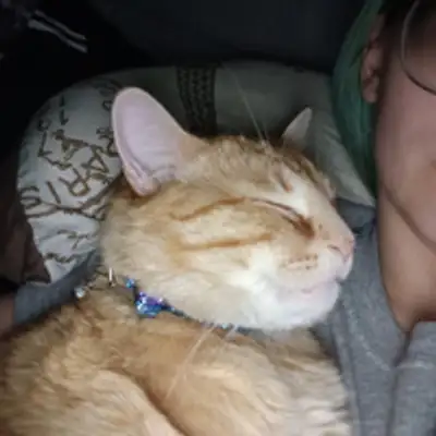 image of podcast supporter