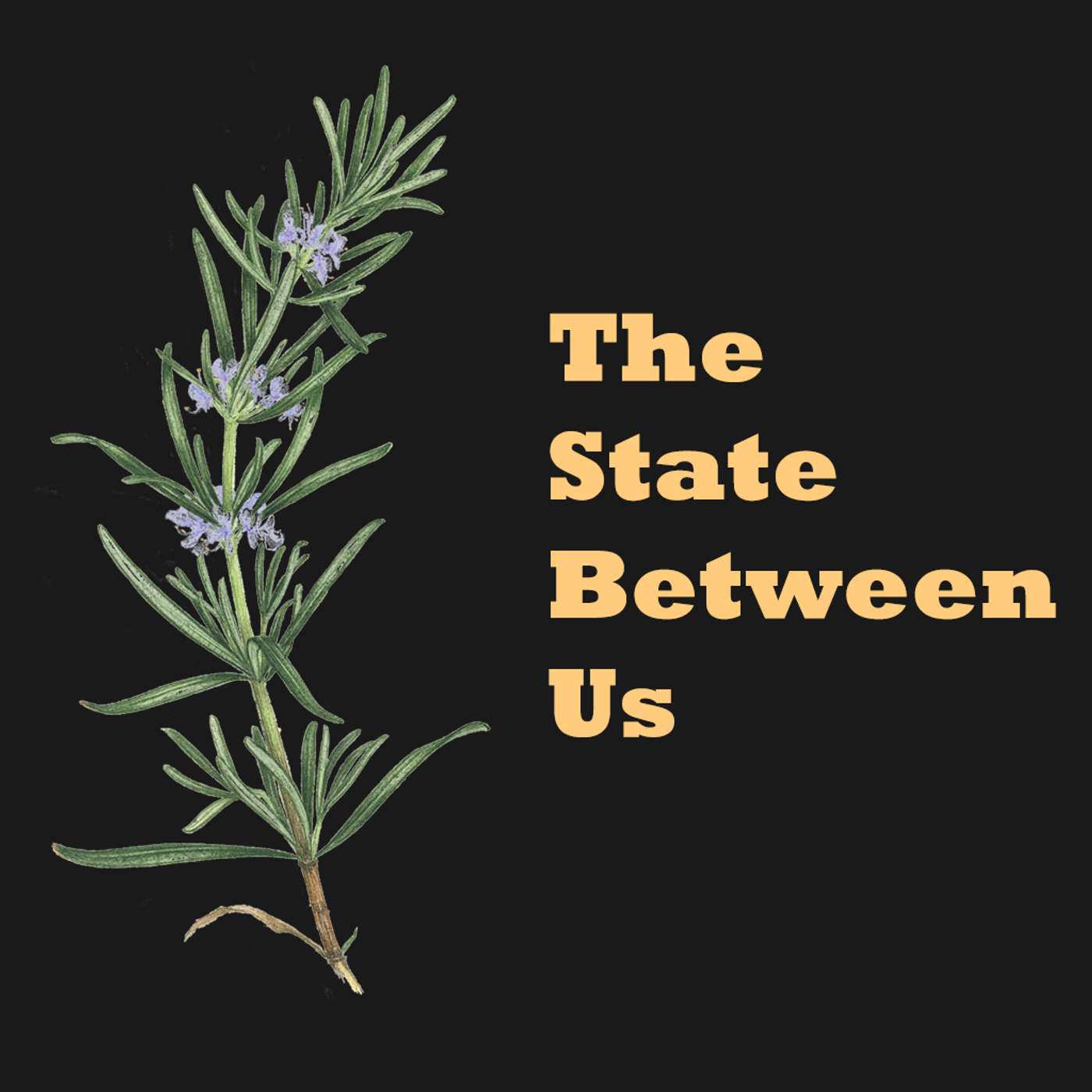 The State Between Us