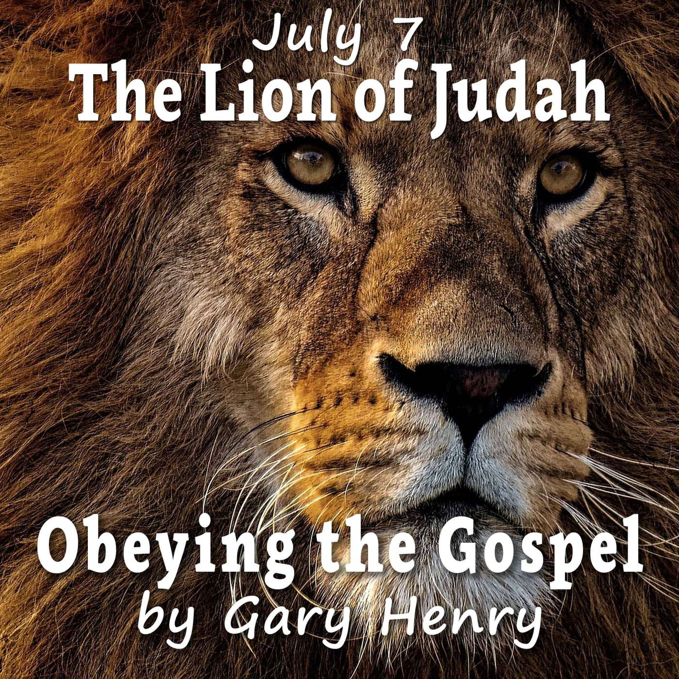 The Lion of Judah (July 7) episode artwork