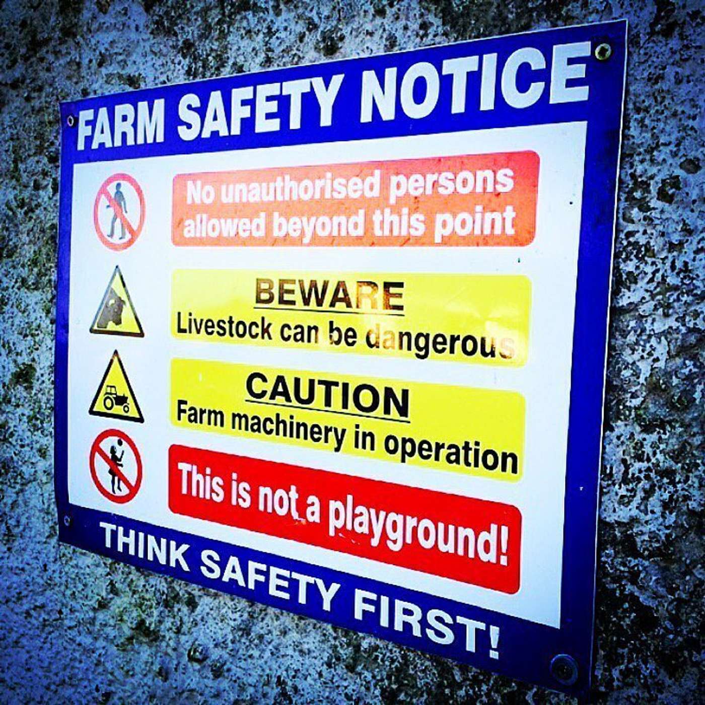 Maintaining health and safety in the busy farm workplace