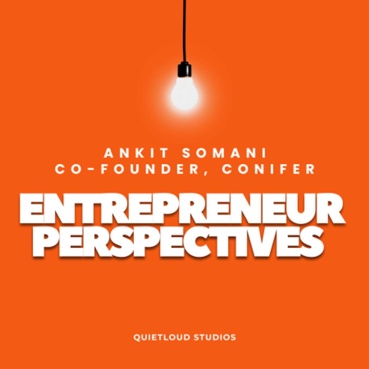 Entrepreneur Perspectives