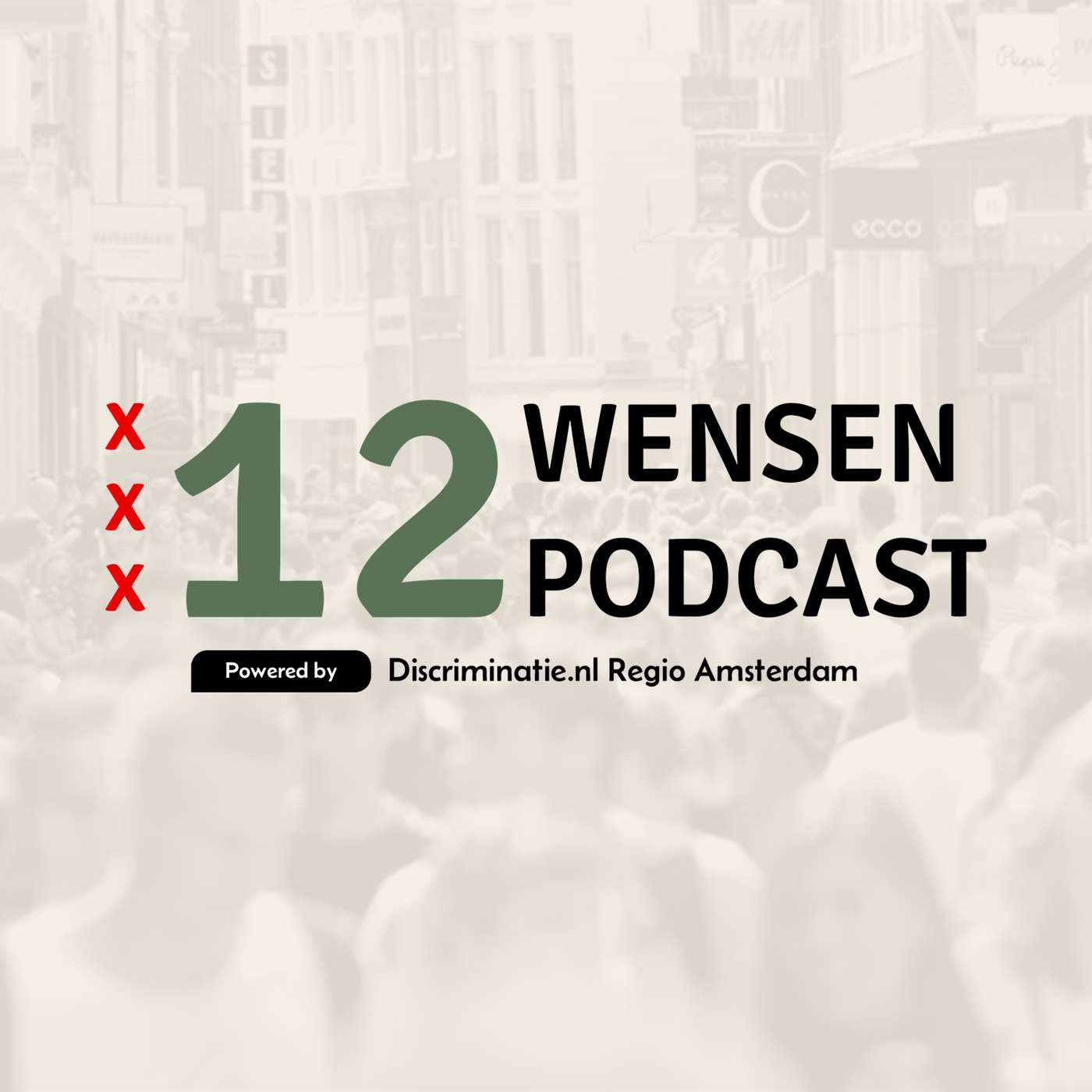 De 12 Wensen Podcast podcast artwork
