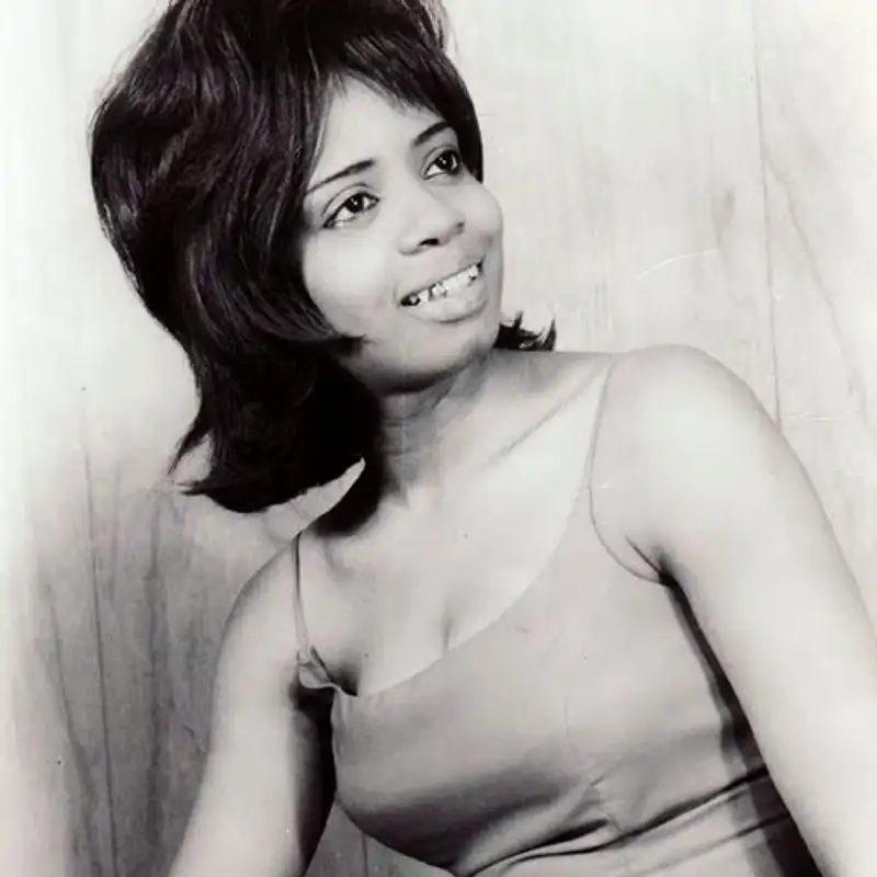 Musicando - Fontella Bass