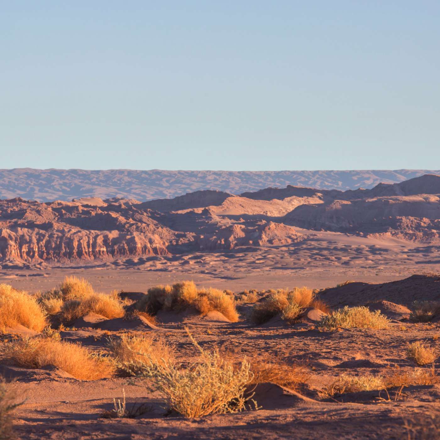 Karmels hage – Trosbekjennelsen del 53: Jesus fristelse i ørkenen Karmels hage – Trosbekjennelsen del 53: Jesus fristelse i ørkenen