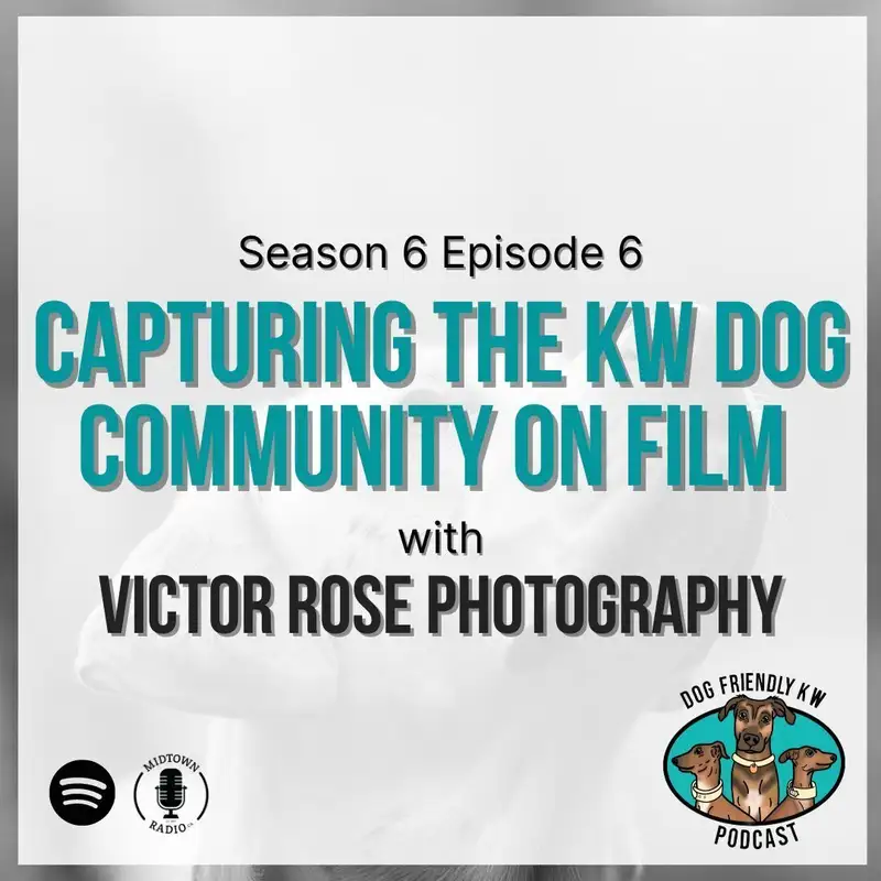 Full Episode: Capturing our CANINE COMMUNITY ON FILM w/ Victor Dinh of Victor Rose Photography