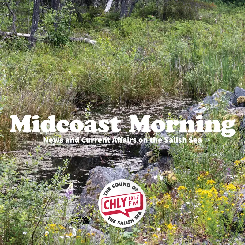 Talking about the systems that guide development near wetlands in B.C.
