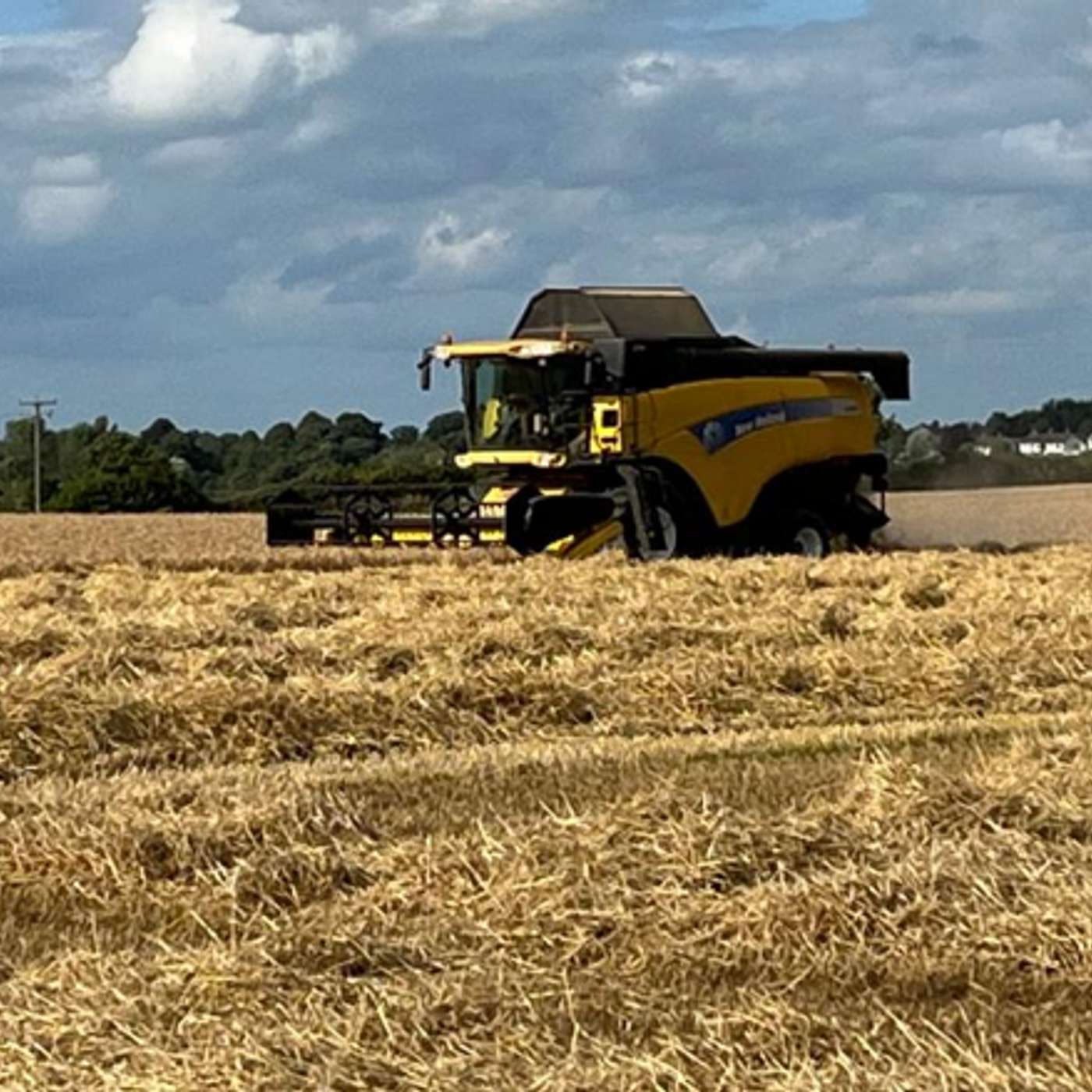 Harvest Results: How Irish Tillage Performed in 2025 Harvest Results: How Irish Tillage Performed in 2025