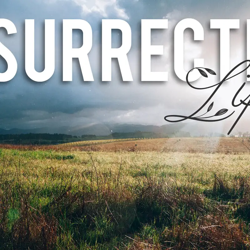 Overcome Evil with Good (Audio)