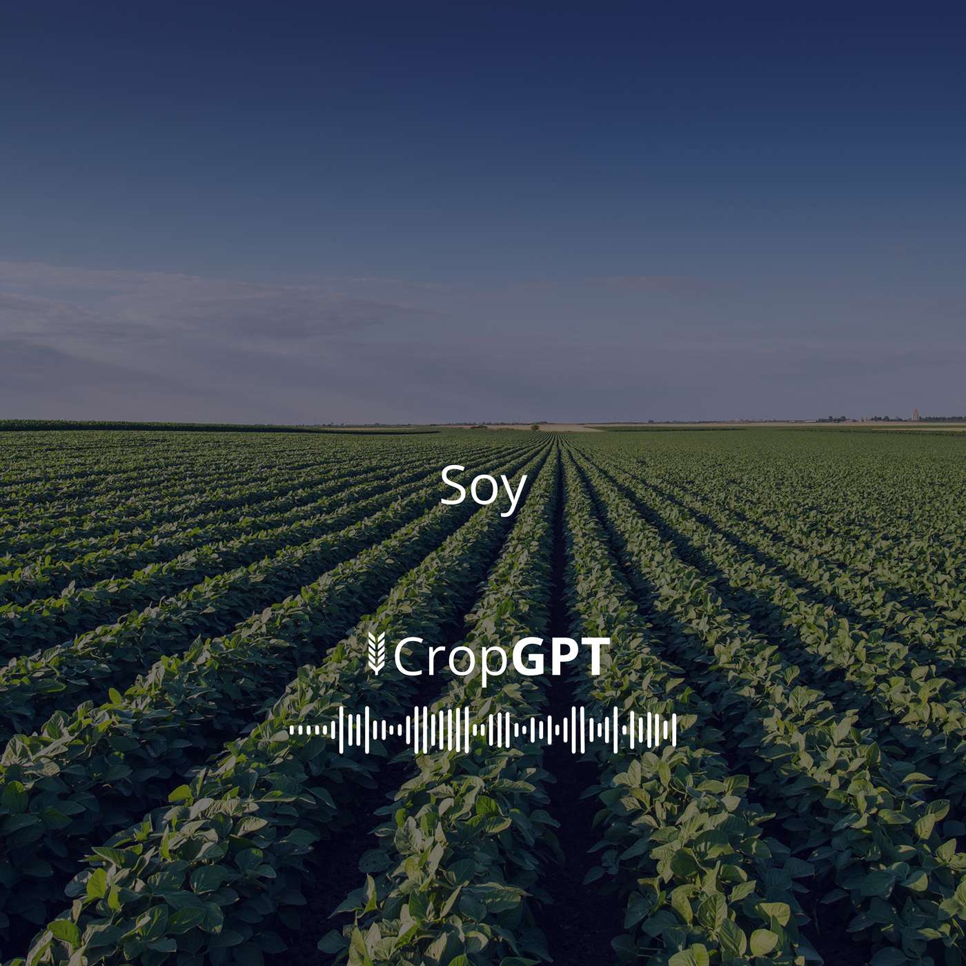 CropGPT - Soybeans - Week 17 episode artwork
