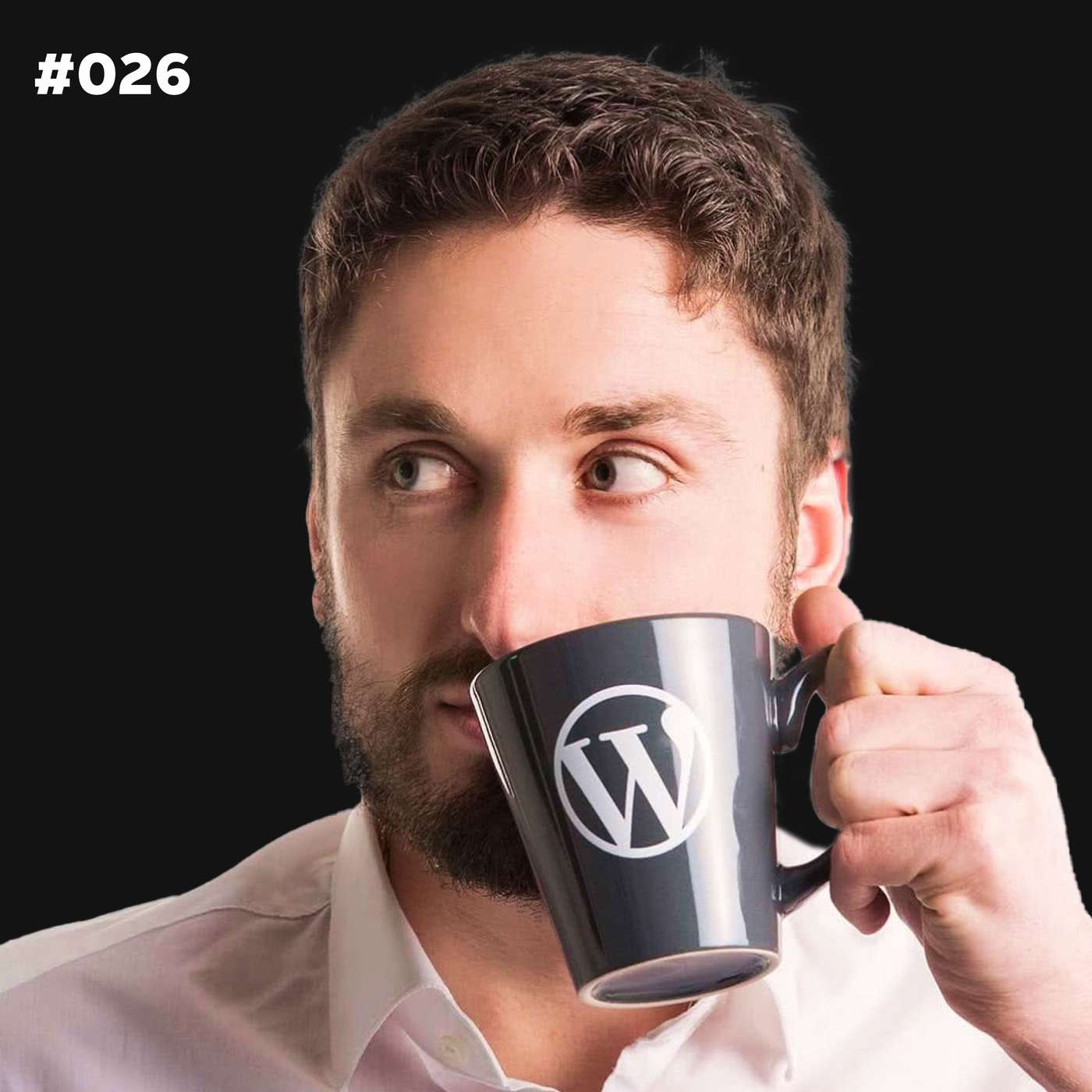 Die Dominik Liss Show (WordPress & Business Talks)