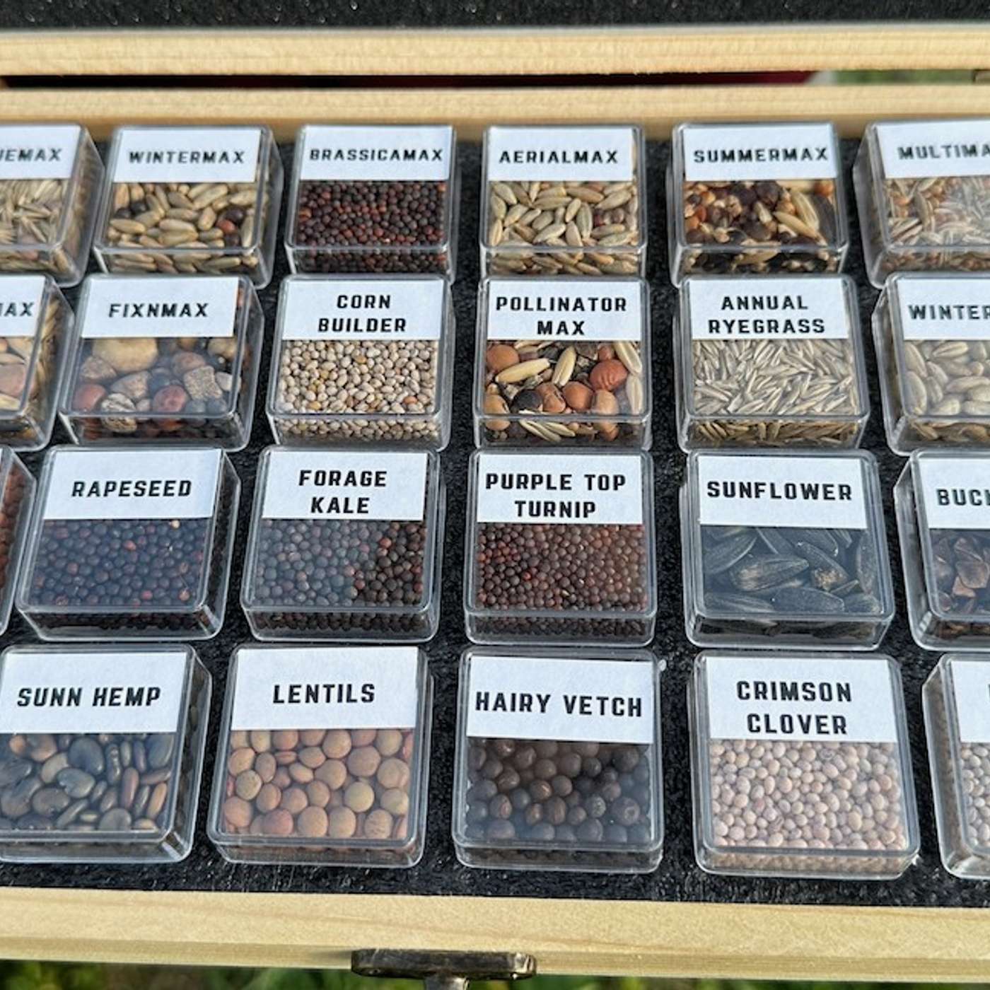 All about cover crops: Lower seeding rates, weed control, advice for farmers & more All about cover crops: Lower seeding rates, weed control, advice for farmers & more