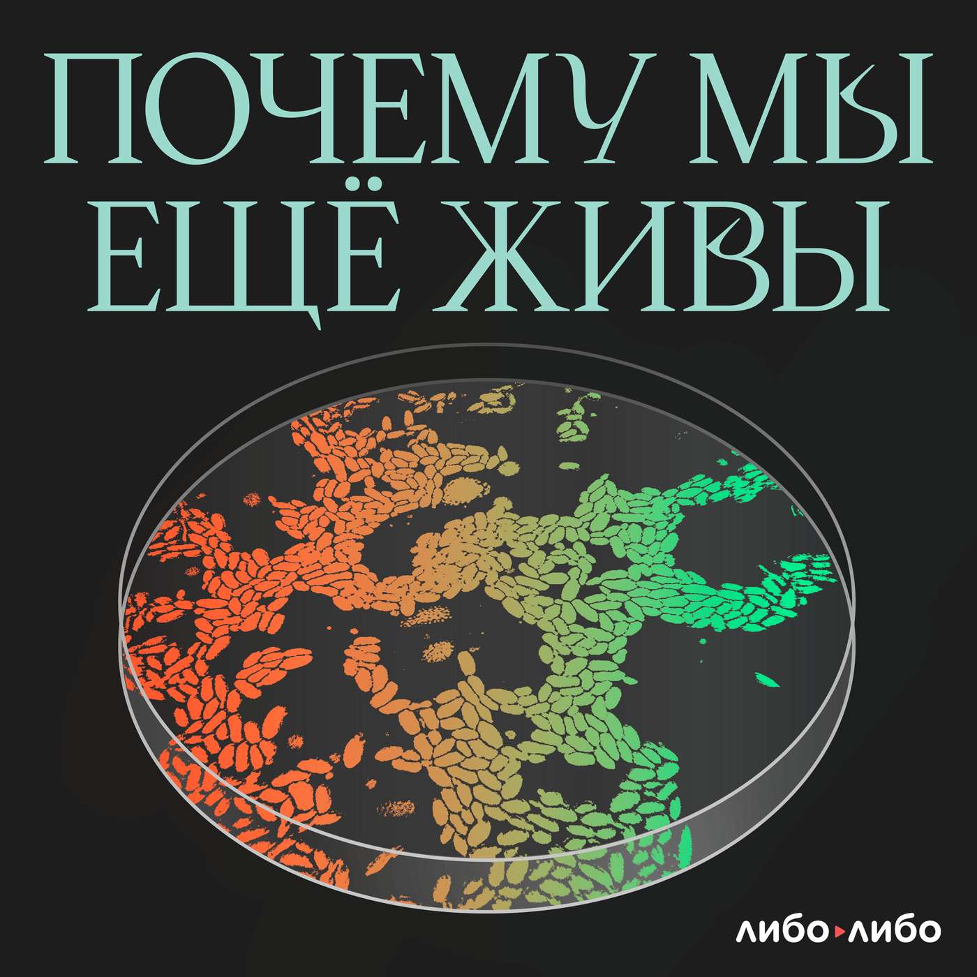 Миллилитрик в губы: история инъекционной косметологии