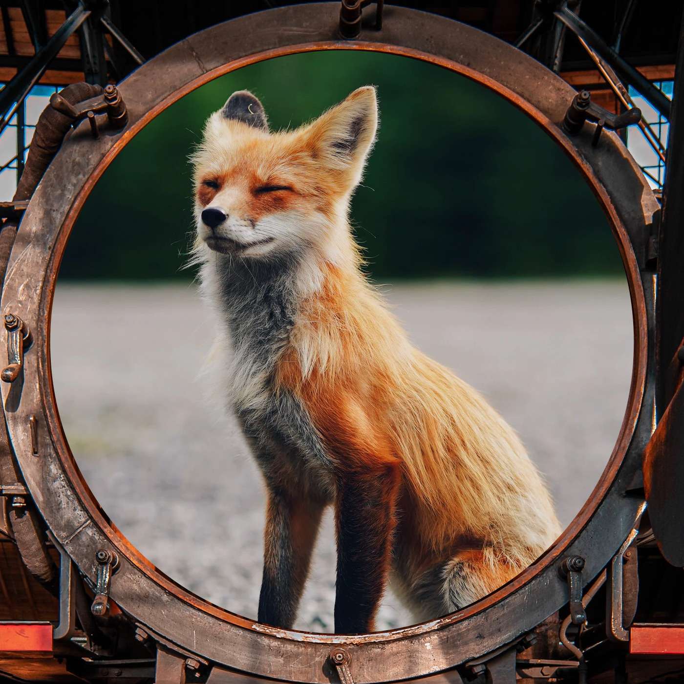 Meet Professor Fritz Meet Professor Fritz