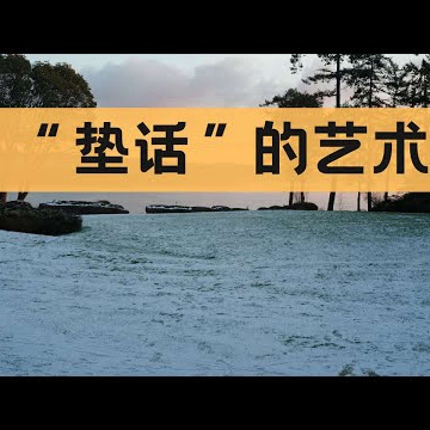 E288. 显著增加networking成功率的小技巧