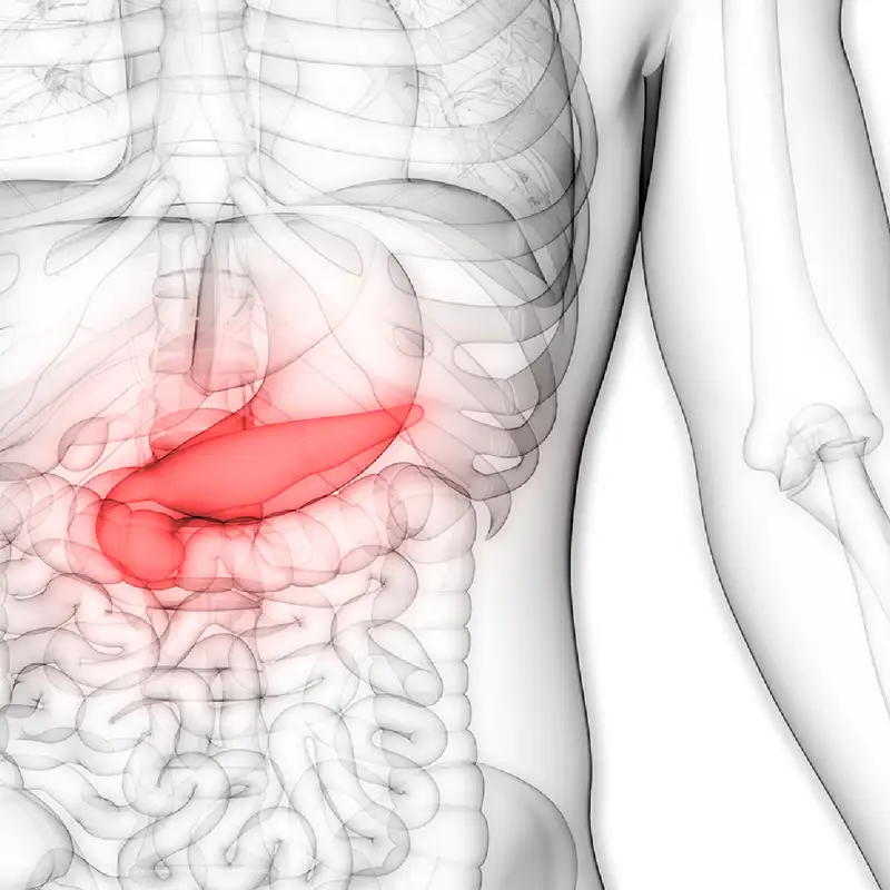 The Science of Type 1 Diabetes 