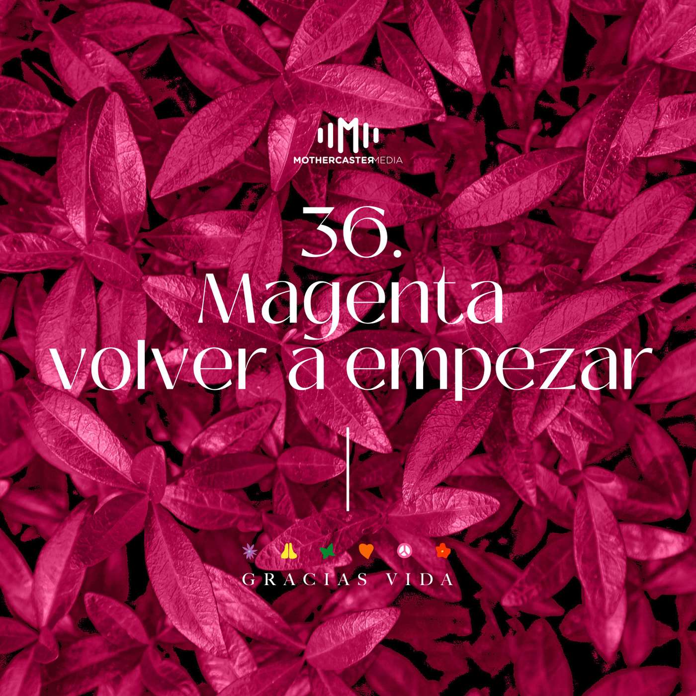 El sonido de los colores