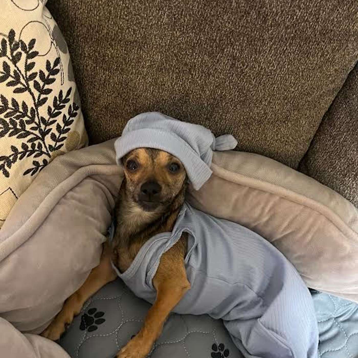 Lucy update with Amanda Smith and Baron Robison  - October 14, 2024