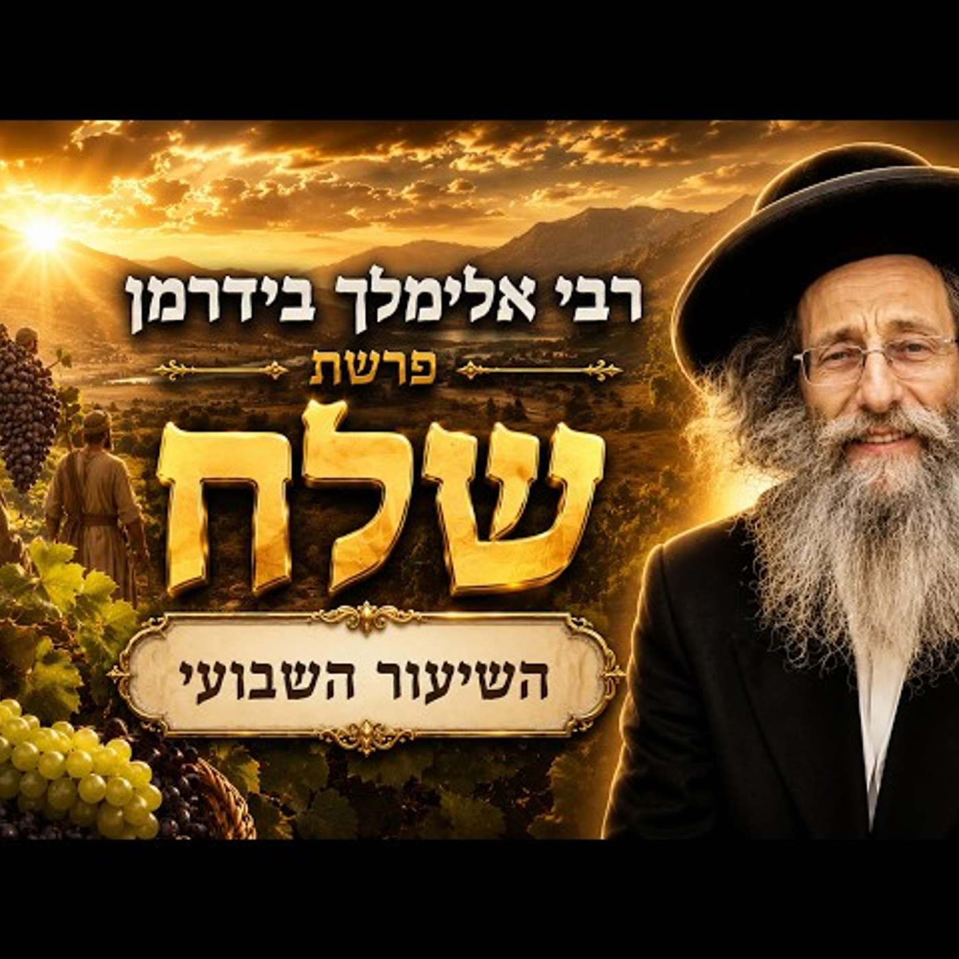 הרב אלימלך בידרמן | פרשת שלח תשפ"ו (2026) | עלונימייל #הרבאלימלךבידרמן