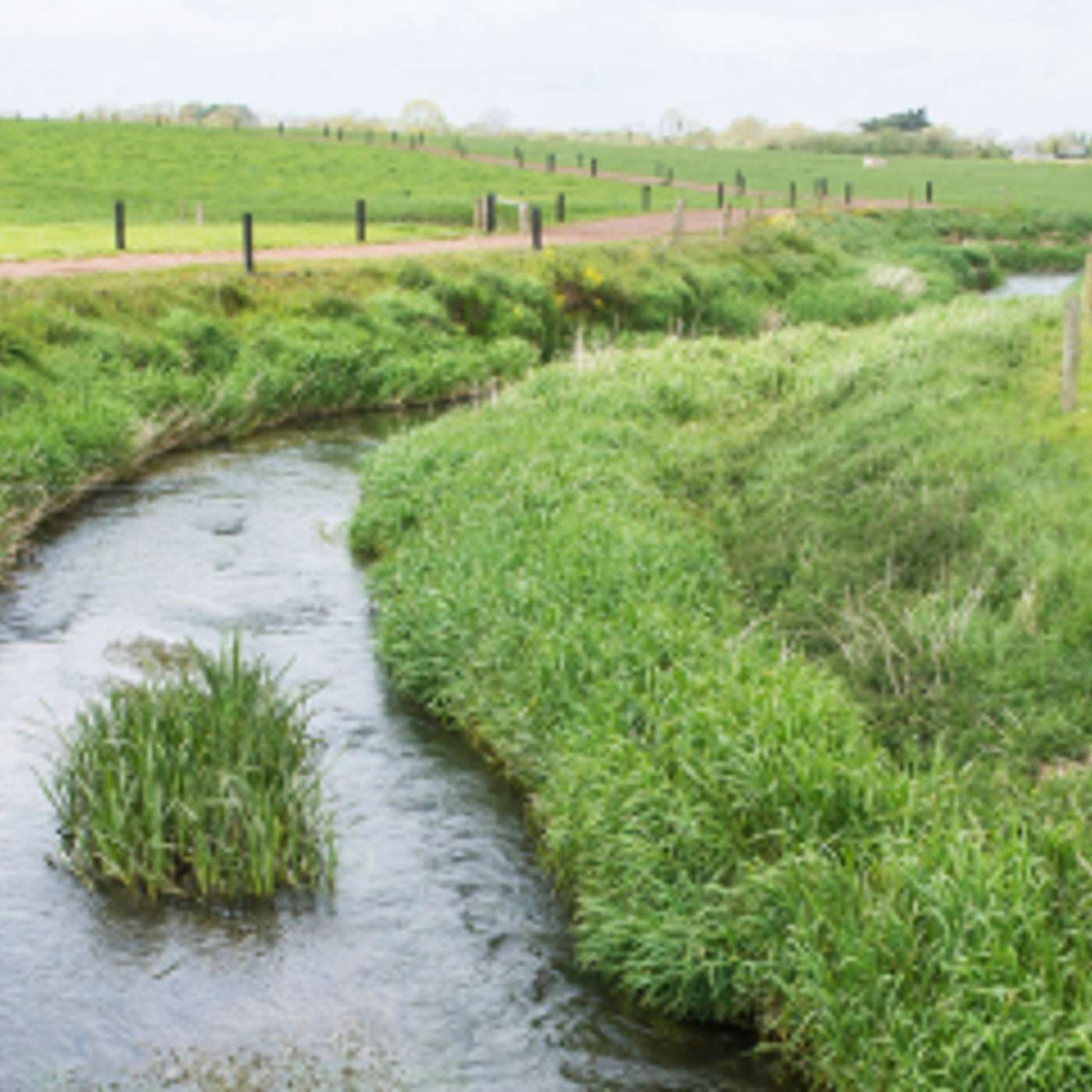 Claire Mooney on Water Quality Tips