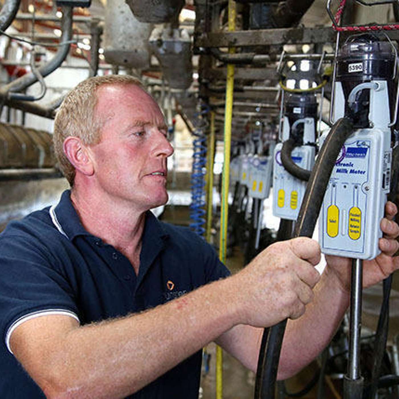 Early milk recording for health and profit gains